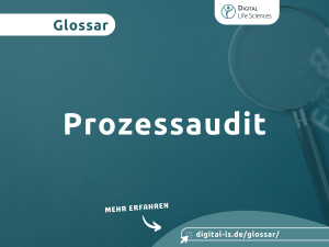 Glossarbeitrag zum Thema Prozessaudit