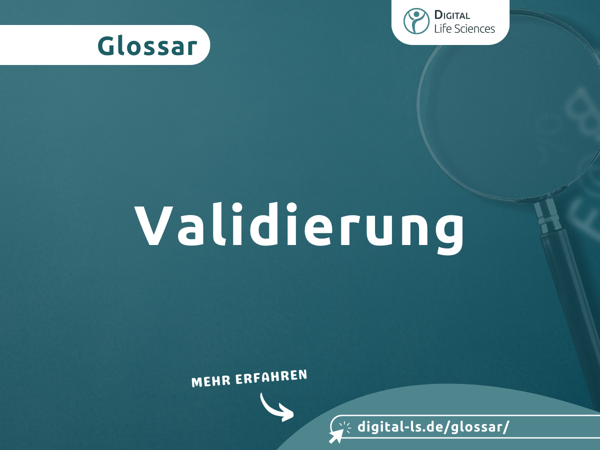 Mehr über den Artikel erfahren Validierung