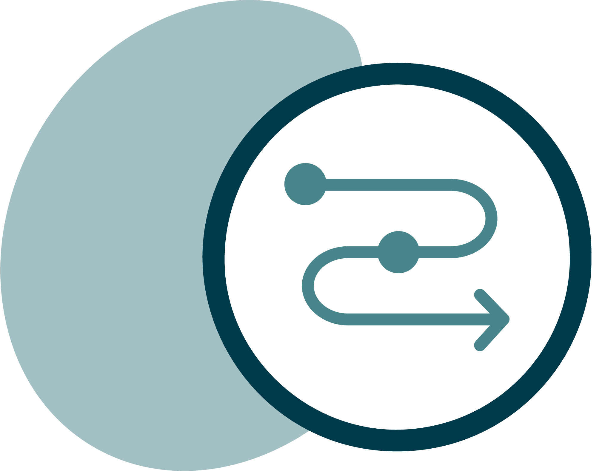 Emblem for the software solution QM process