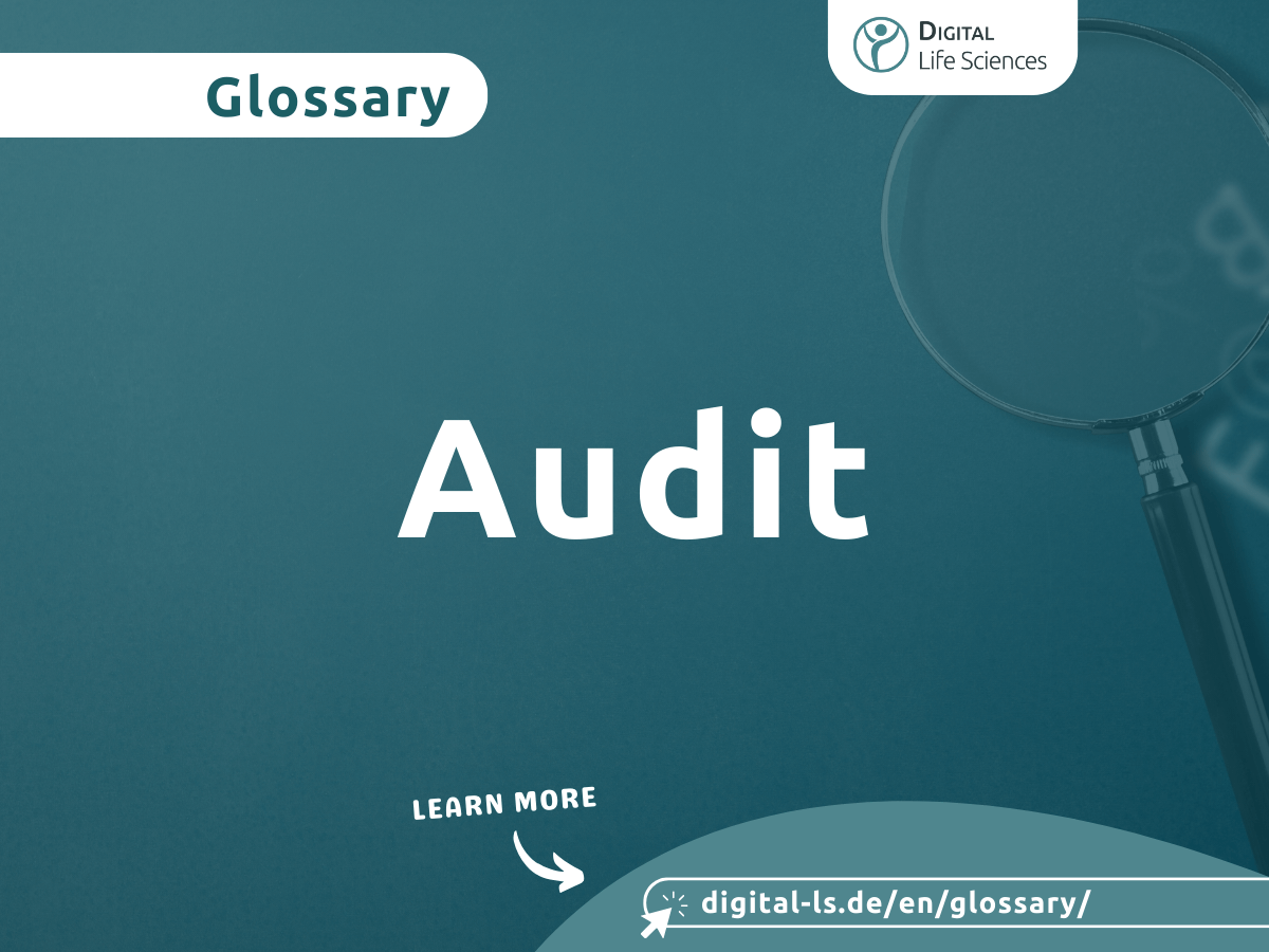 Glossary contribution on the topic of audit