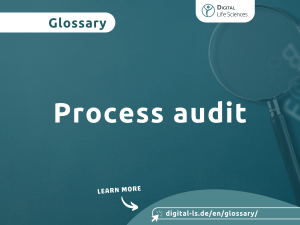 Glossary contribution on the topic of process audits