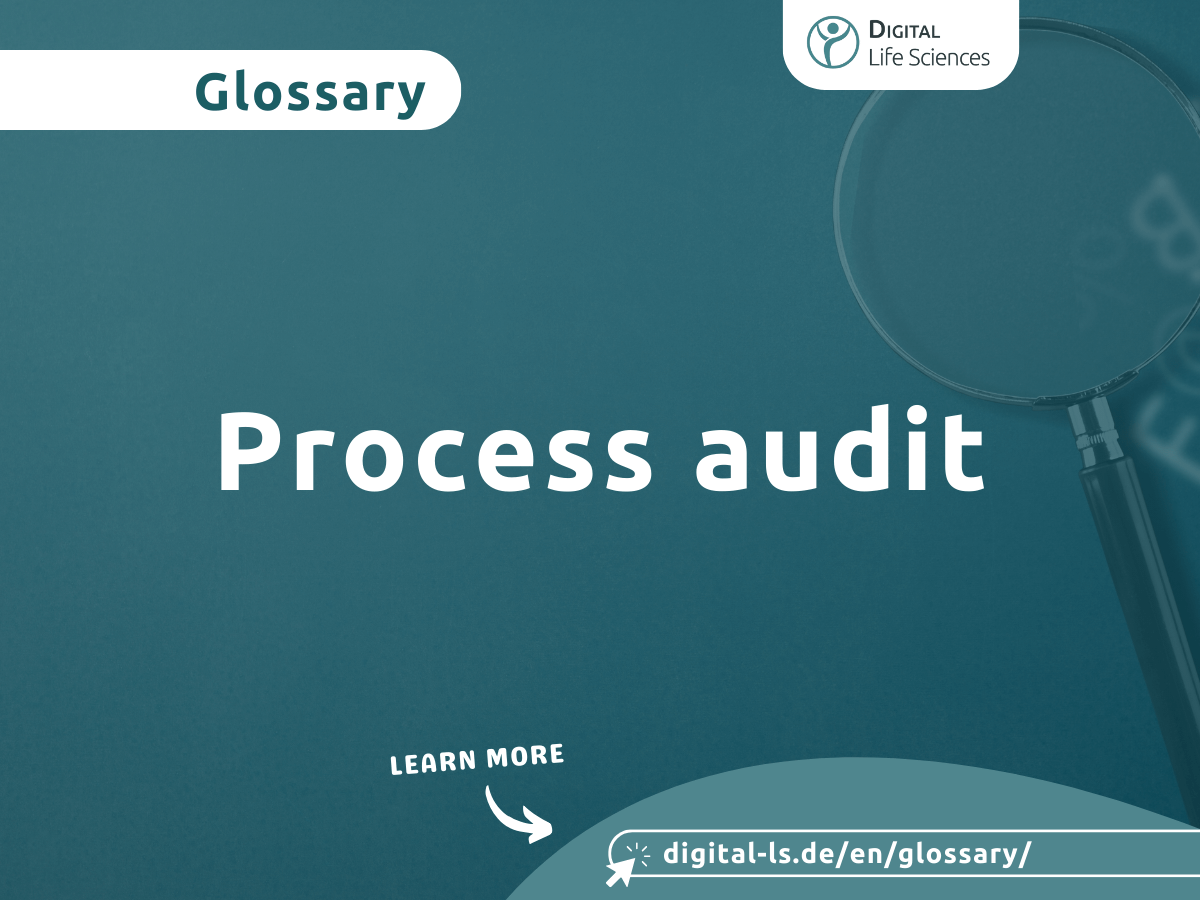 Glossary contribution on the topic of process audits