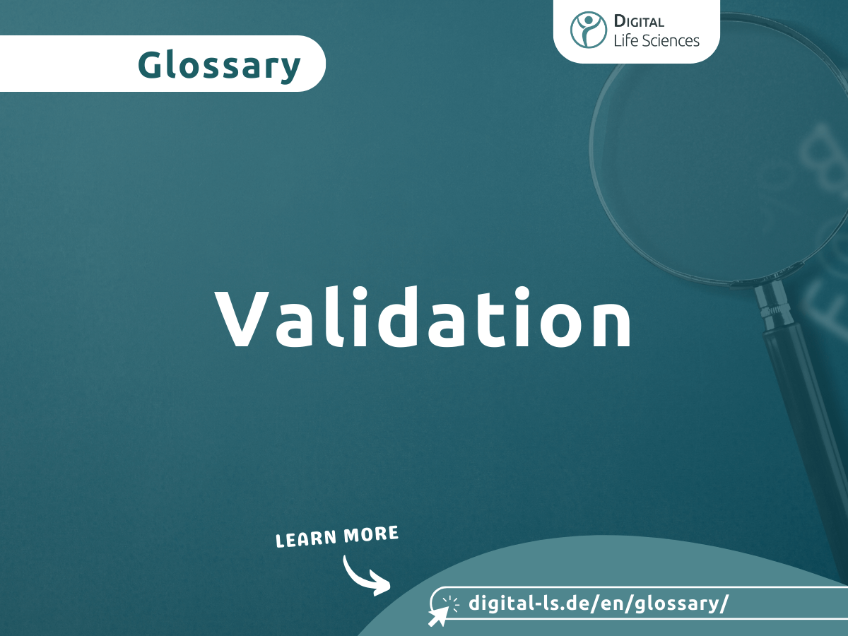 Glossary contribution on the topic of validation