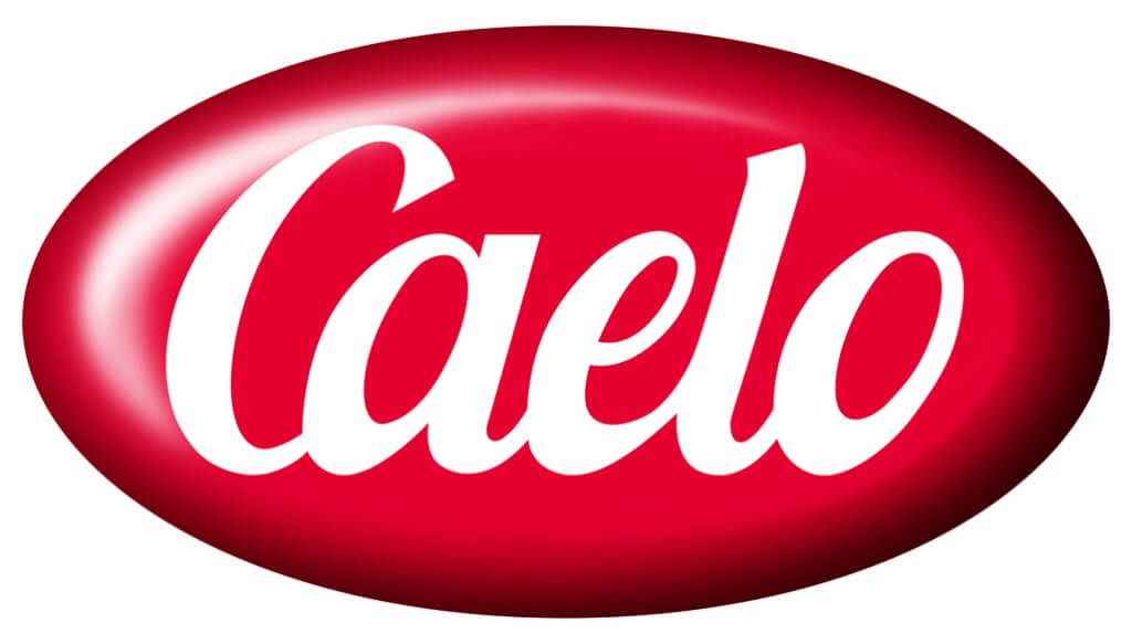 Abbildung des Kundenlogos von der Caesar & Loretz GmbH