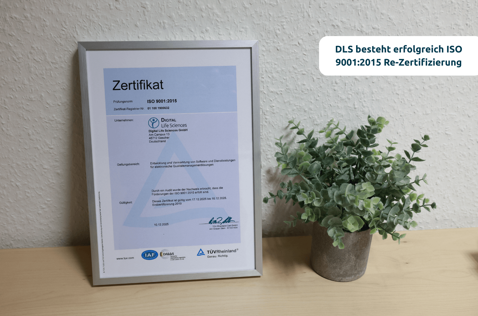 DLS besteht erfolgreich ISO 90012015 Re-Zertifizierung